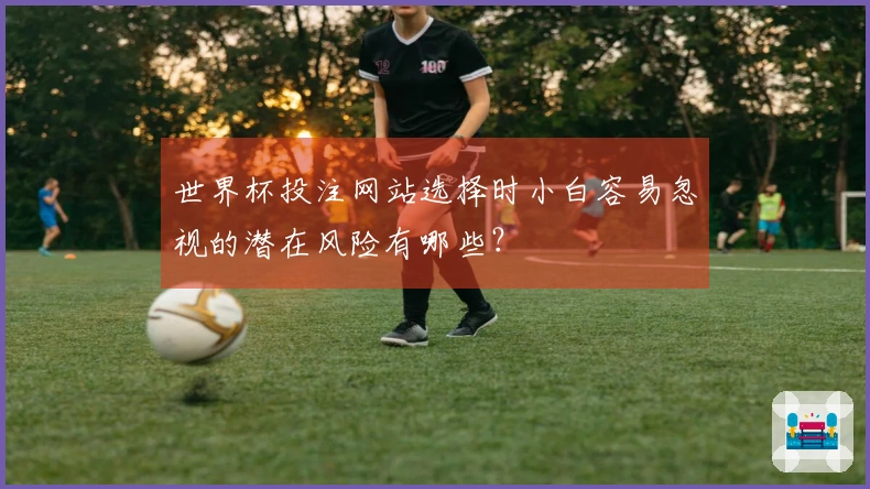 世界杯投注网站选择时小白容易忽视的潜在风险有哪些?